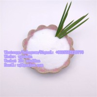 Local Anesthetic Raw material Powder Levobupivacaine with fast delivery Levobupivacaine base 27262-47-1