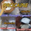 White Powder Procaine Base CAS 59-46-1 Procaine Powder From Factory in Stocks