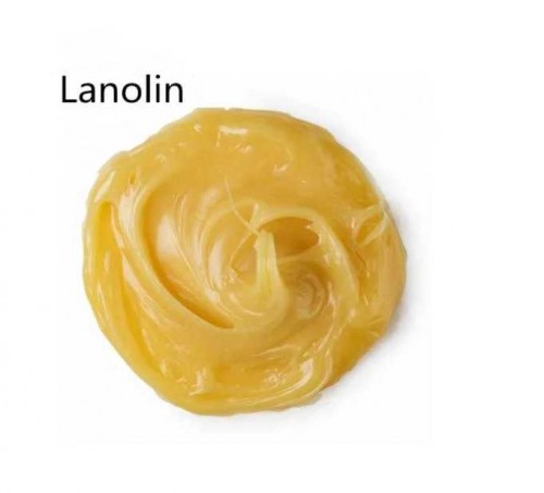 12years Factory Supply CAS 8020-84-6 Lanolin for Sale