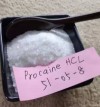 wj2@gzwjsw.com/Lidocaine Hydrochloride/Lidocaine Base Tetracaine Benzocaine Procaine USP/Ep/Cp CAS 73-78-9 with Best Price
