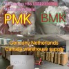 BMK 99% High Quality 3-Oxo-4-Phenyl-Butyric Acid Ethyl Ester CAS 718-08-1 with Bulk Stock