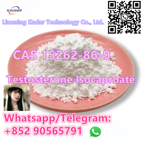 High Purity CAS 15262-86-9 Testosterone Isocaproate with Safe Delivery