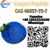 Copper Peptide Glycyl-L-Histidyl-L-Lysine CAS 49557-75-7 C14H24N6O4 beauty peptide