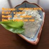 Improved Memory Nooglutyl Piracetam Powder 7491-74-9 Piracetam Free Custom Clearance DDP 99.9% Piracetam Powder CAS 7491-74-9