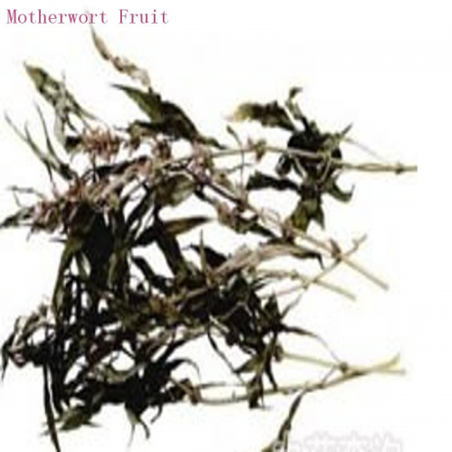 Motherwort Fruit 99% solid  Pharma;Conutrix