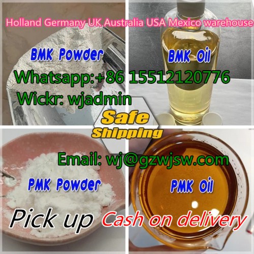 BMK Powder 5449-12-7 BMK (Sodium Salt) CAS 10250-27-8 B Powder BMK Oil CAS 20320-59-6 With Fast Shipping