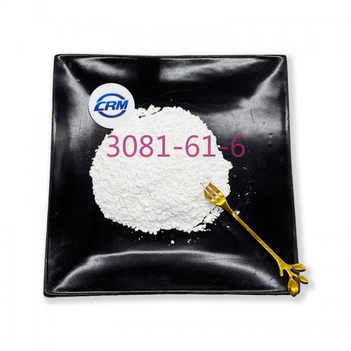 Factory Supply L-Theanine 99% CAS 3081-61-6