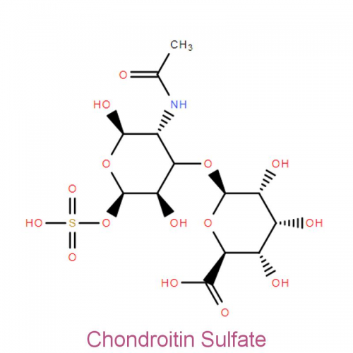 Chondroitin Sulfate 99% White Powder Factory Supply cas 9007-28-7 Chondroitin sulfate