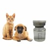 Cat Health top quality GS441524 99% liquid 1191237-69-0  In stock