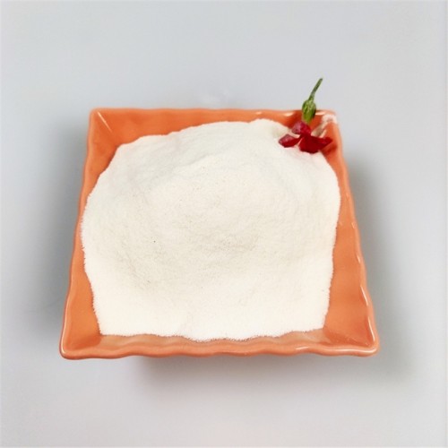 Procainamide Hydrochloride 99% white powder 7699-39-0 99% powder  GY