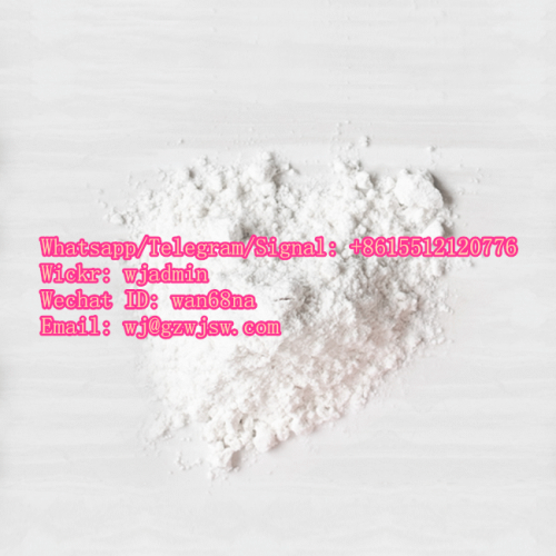 Methylamine Hydrochloride CAS 593-51-1 with Best Quality Cheap Price Organic Intermediates Powder Methylamine HCL