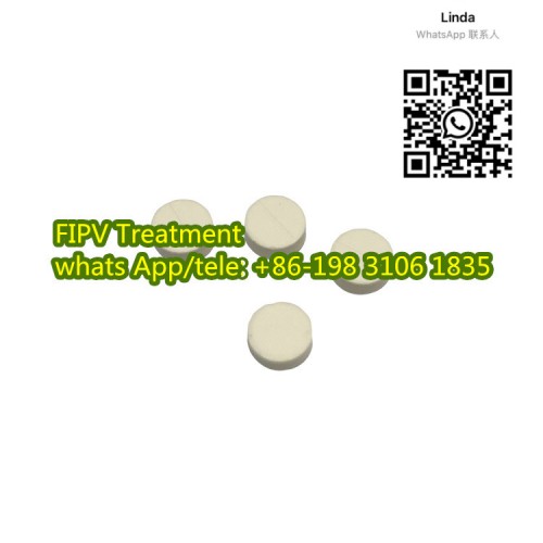 gs 441524 FIPV Injection【20MG/ml 5.5ml】 wholesaler from China whatsApp +86-19831061835