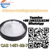 CAS1451-82-7 C10H11BrO  2-Bromo-4-methylpropiophenone 99.9% High quality low price