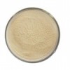 Supplier Dimethyl Terephthalate Powder/Crystal 99.9% Chemical CAS 120-61-6